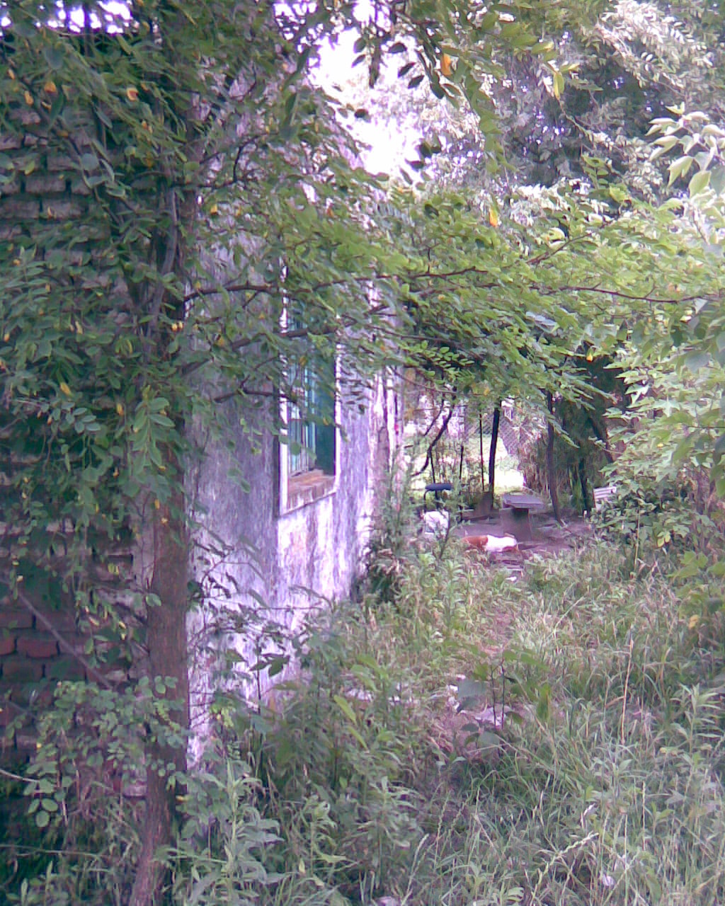 fotos/2006-12-10 - Ranchito de la Obligado/casa (7).jpg